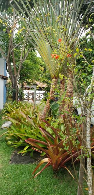 thumbnail_20200122_103404.jpg