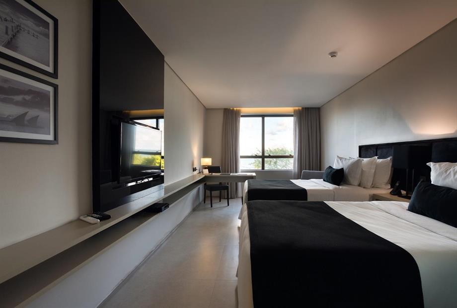 deluxe twin 2mini.jpg