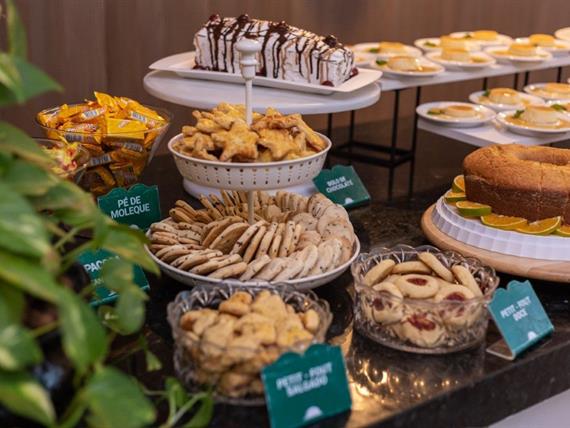 ecco (66) (médio).jpg