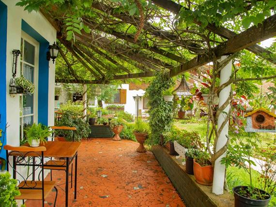 área externa chá_6465-min.jpg