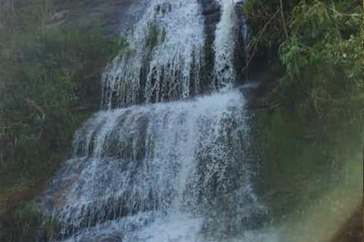 whatsapp image 2026-01-21 at 01.37.33.jpeg