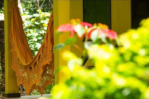 whatsapp image 2024-06-09 at 17.35.45 (1).jpeg