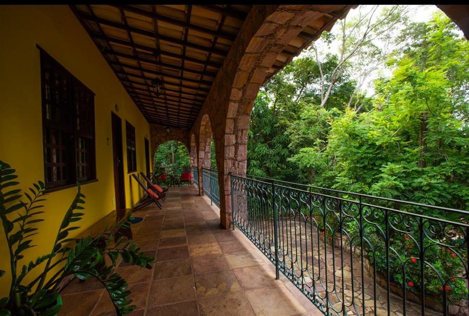 whatsapp image 2024-06-09 at 17.44.00.jpeg