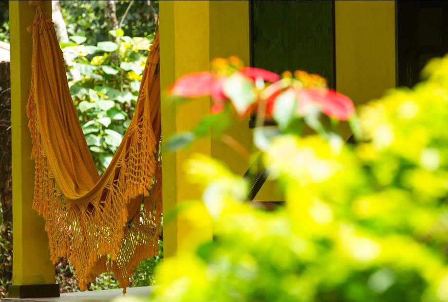 whatsapp image 2024-06-09 at 17.35.45 (1).jpeg