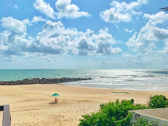 praia com guarda sol.jpg