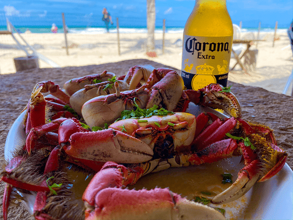bar da praia 2.png