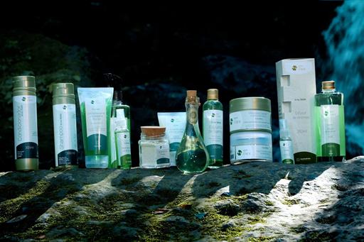 base 02.00_01_08_16.still013 (1).jpg