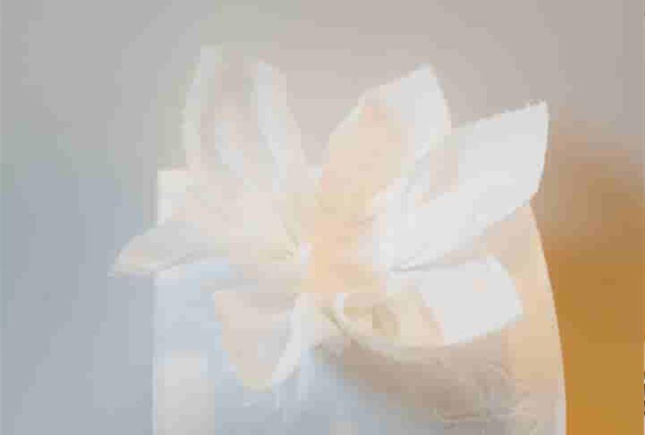 machadinho set 2025-12_11zon.jpg