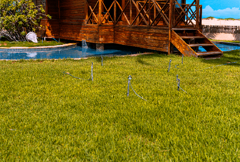 bangalo - yur06273.png