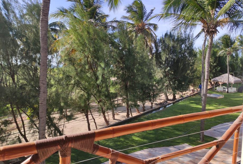 whatsapp image 2022-05-31 at 14.04.29.jpeg