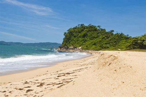 praia grossa (1).jpg