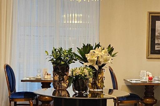 20241109_060218-2222 (médio).jpg