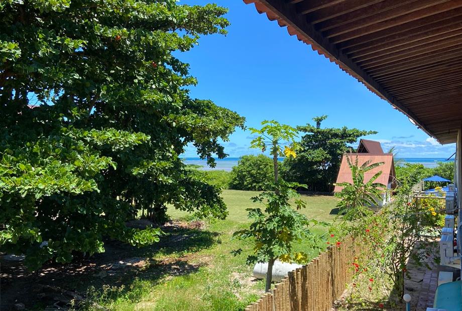 vista suite tipo.jpg