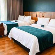 Superior Twin Vista al Lago.