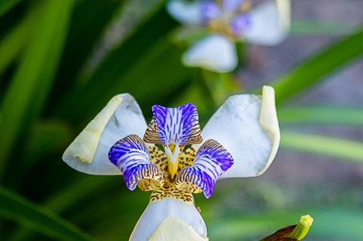 villa bella ferradura - 1mb-105.jpg