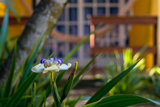 villa bella ferradura - 1mb-109.jpg