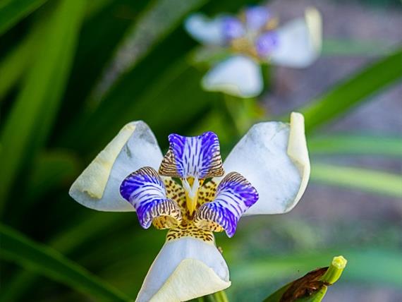 villa bella ferradura - 1mb-105.jpg