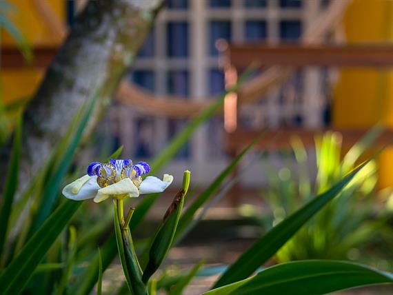 villa bella ferradura - 1mb-109.jpg