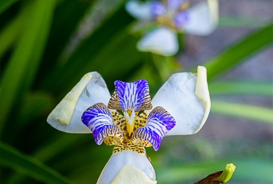 villa bella ferradura - 1mb-105.jpg