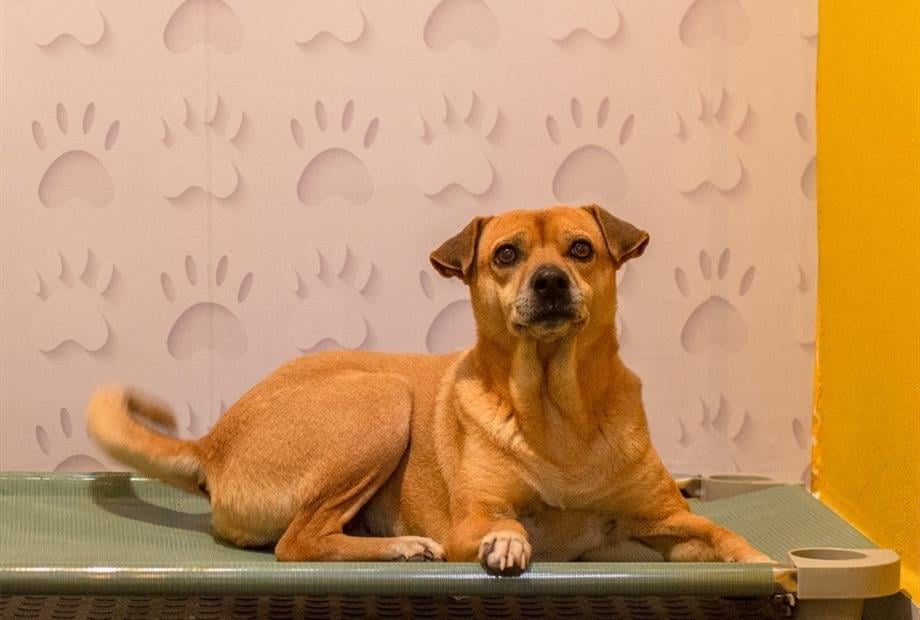 whatsapp image 2024-06-26 at 16.48.29 (7).jpeg