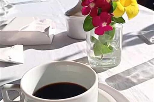 whatsapp image 2025-04-20 at 12.50.44.jpeg