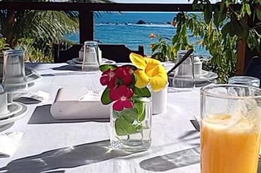 whatsapp image 2025-04-20 at 12.50.44 (1).jpeg