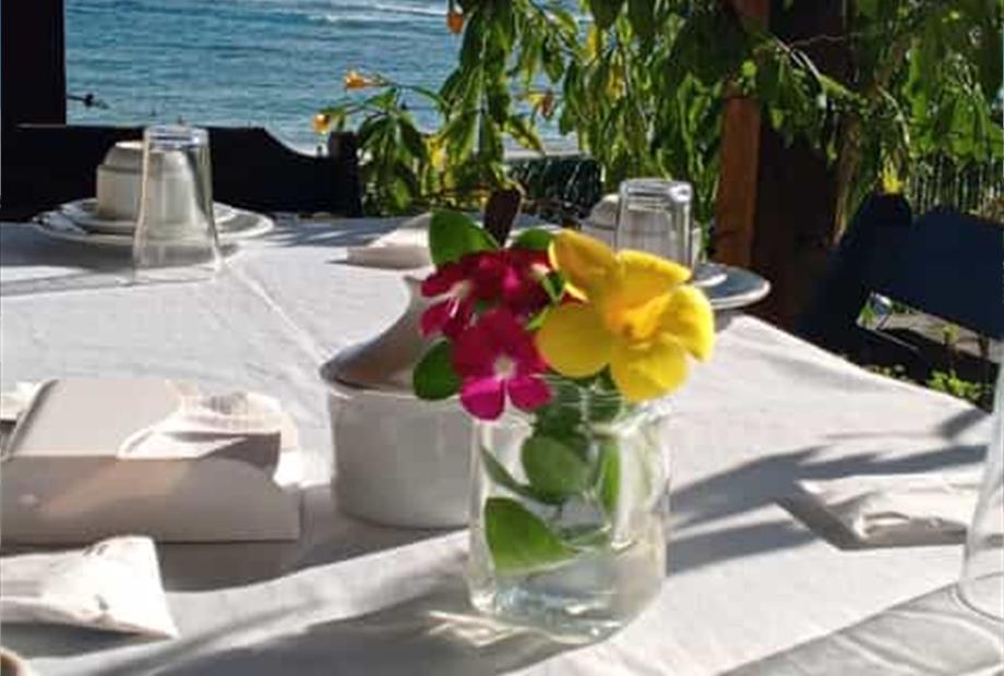 whatsapp image 2025-04-20 at 12.45.11.jpeg