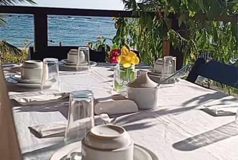 whatsapp image 2025-04-20 at 12.50.43.jpeg