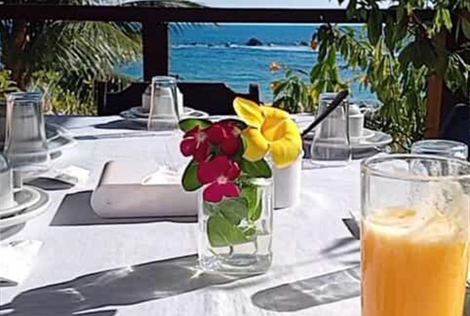 whatsapp image 2025-04-20 at 12.50.44 (1).jpeg