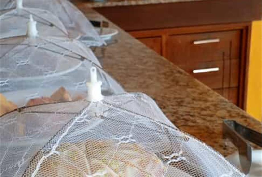 whatsapp image 2025-04-20 at 12.46.14.jpeg