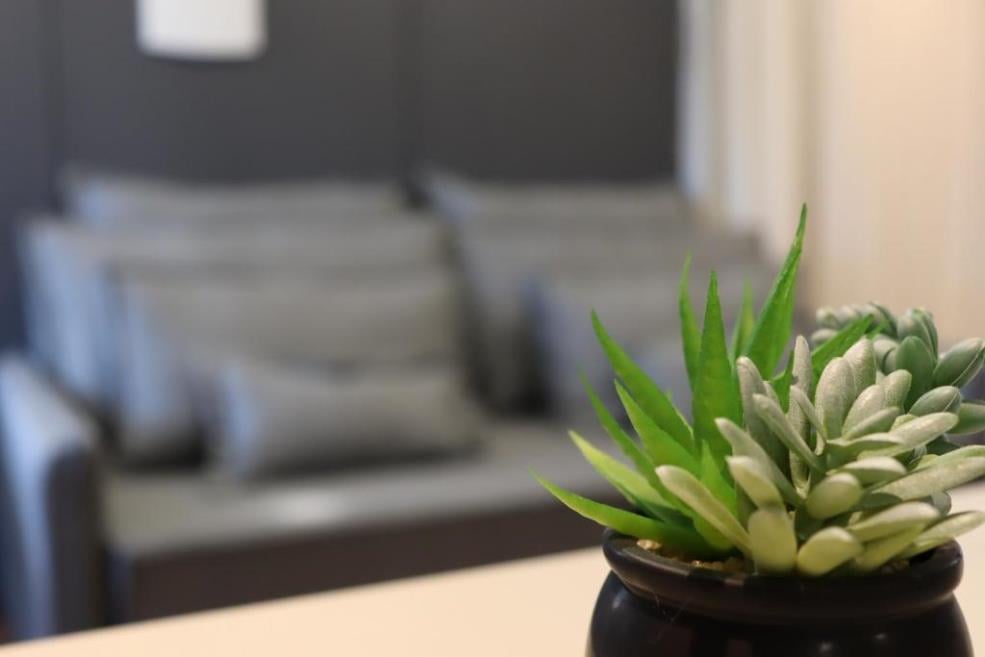 planta suíte.jpg