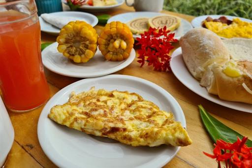 whatsapp image 2024-11-21 at 15.58.25 (1).jpeg