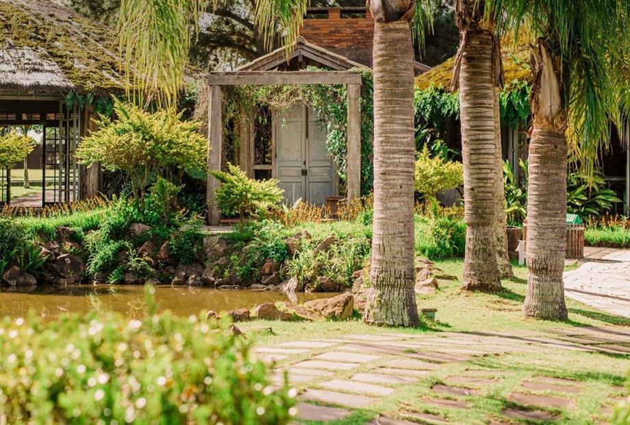 cópia de design sem nome.jpg