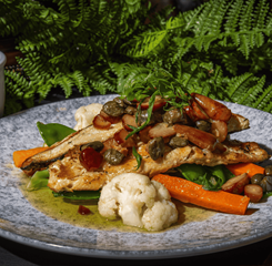 design sem nome (13).png