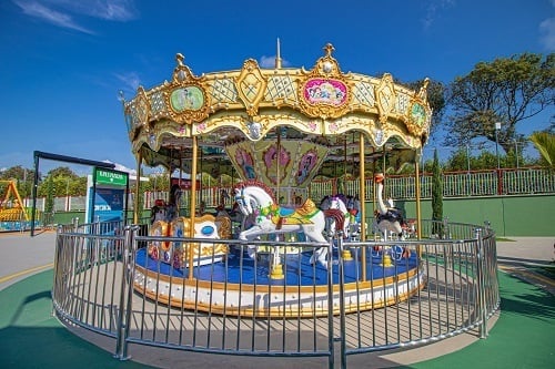 camelias park 4.jpg