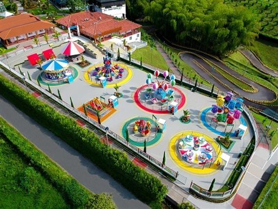 camelias park 1.jpg