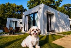 LOFT - Pet Friendly