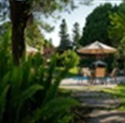 cantoverde_digital (41 of 47)(1).jpg