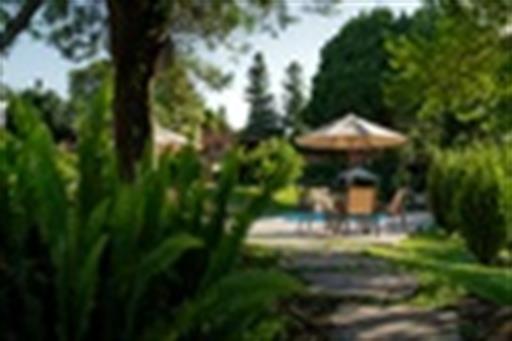 cantoverde_digital (41 of 47)(1).jpg