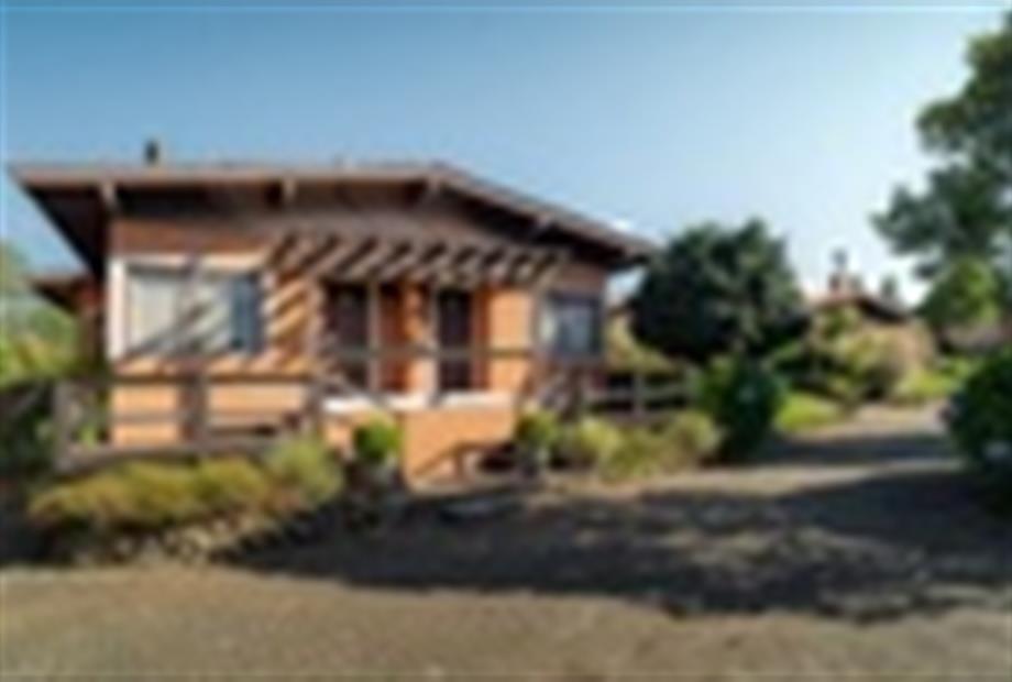 cantoverde_digital (38 of 47)(1).jpg