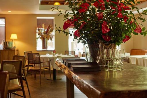 picchi-09-03_3041 color.jpg