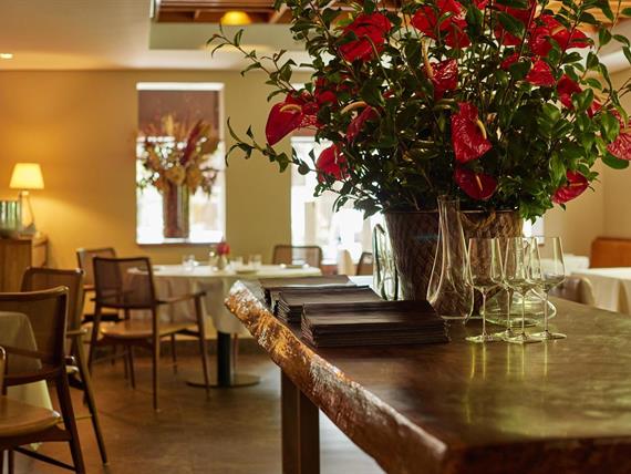 picchi-09-03_3041 color.jpg