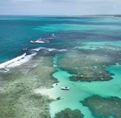 jpt - fotos (18)-compressed.jpg