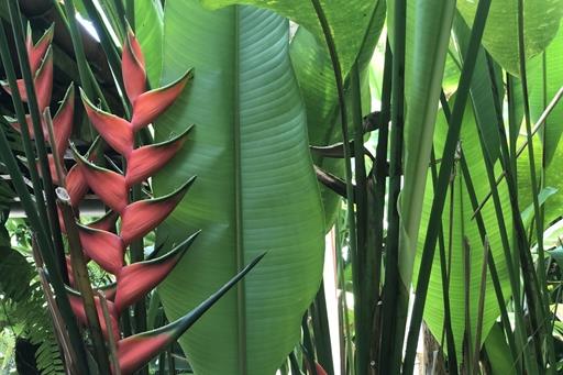 Foto 19-12-2018 10 42 21_Easy-Resize.com.jpg