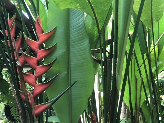 Foto 19-12-2018 10 42 21_Easy-Resize.com.jpg