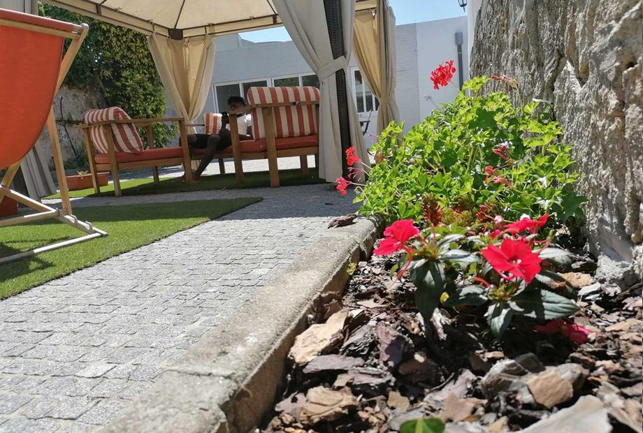 whatsapp image 2023-01-18 at 17.53.55.jpeg