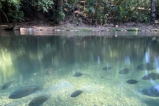 img hotel rio quente (28).jpg