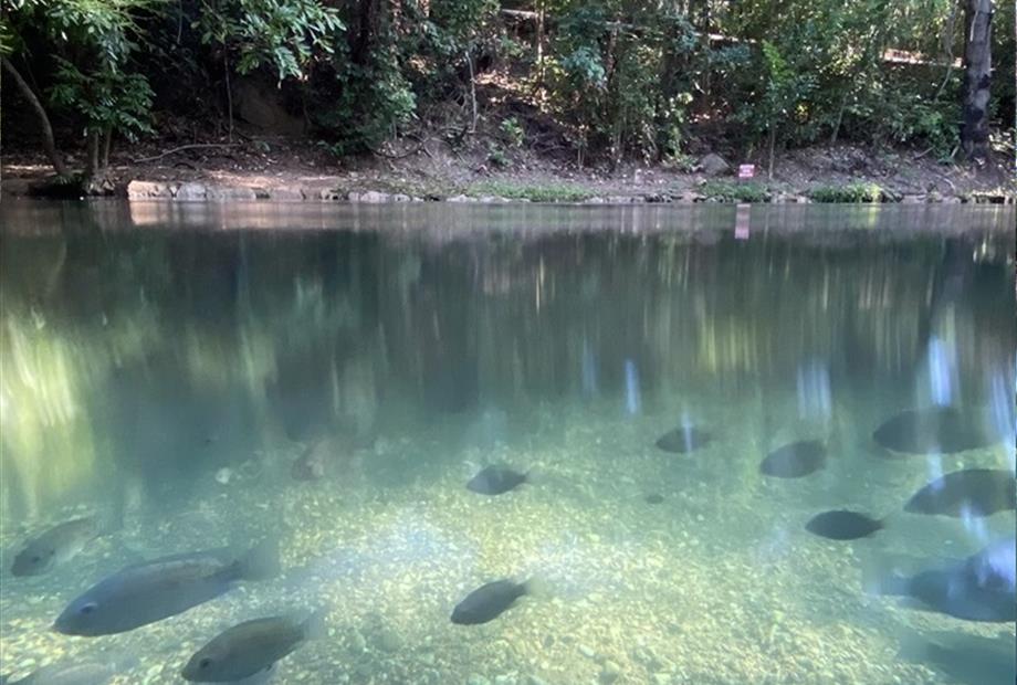 img hotel rio quente (28).jpg