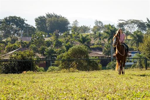 SETE LAGOS CAVALOS GERAL (1133).JPG