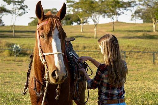 SETE LAGOS CAVALOS GERAL (1161).JPG